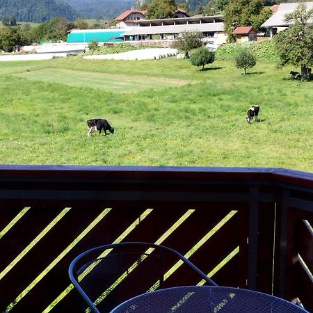 Apartma Julia Spodnje Gorje Bagian luar foto